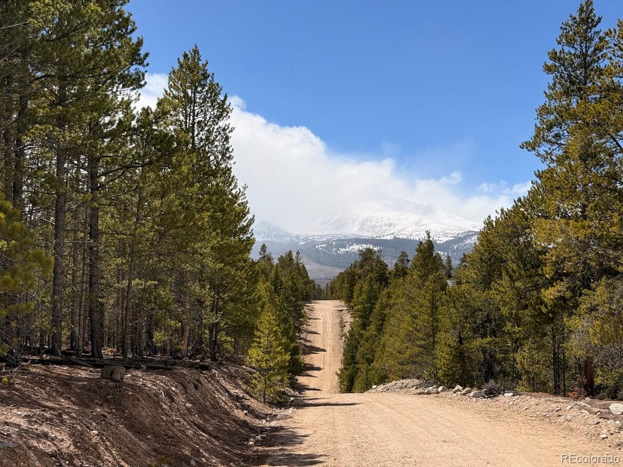 104 Spruce Drive Twin Lakes CO 81251