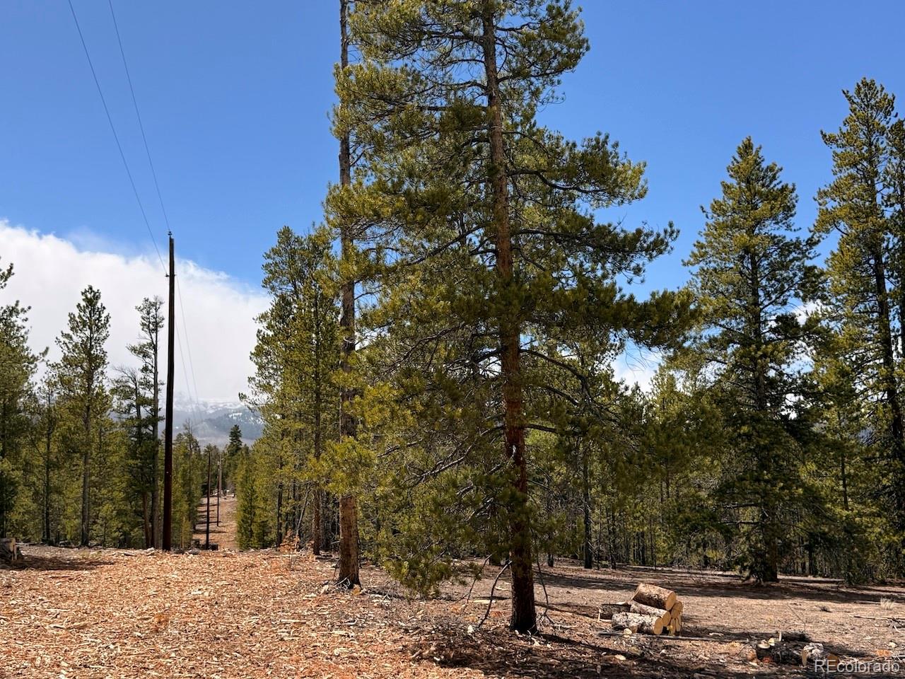 104 Spruce Drive Twin Lakes CO 81251