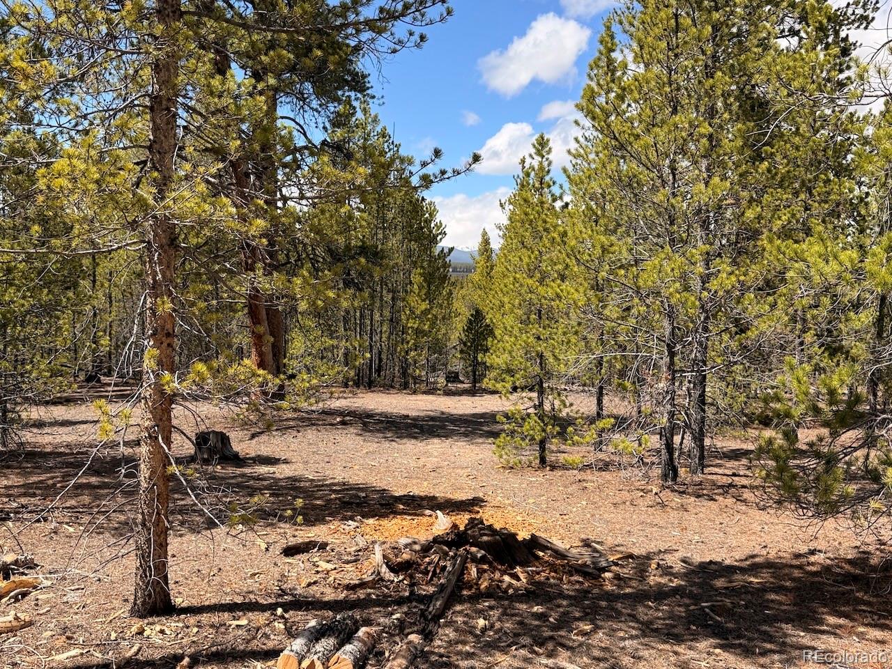 104 Spruce Drive Twin Lakes CO 81251
