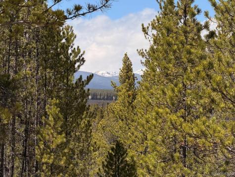 104 Spruce Drive Twin Lakes CO 81251