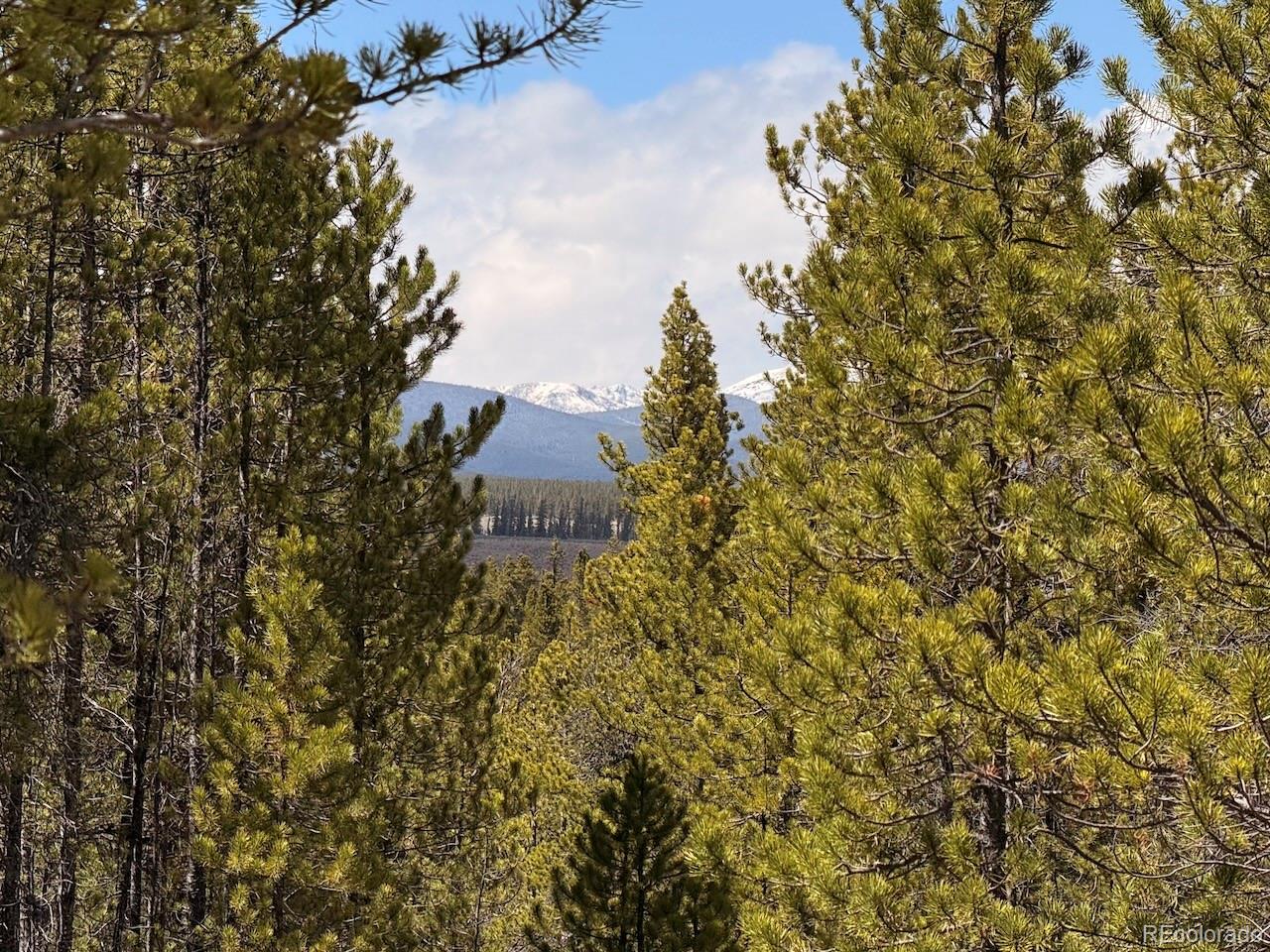 104 Spruce Drive Twin Lakes CO 81251
