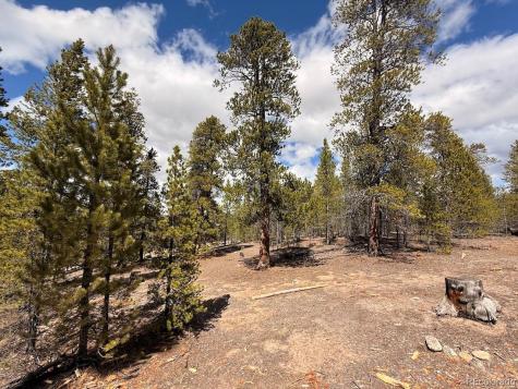 104 Spruce Drive Twin Lakes CO 81251