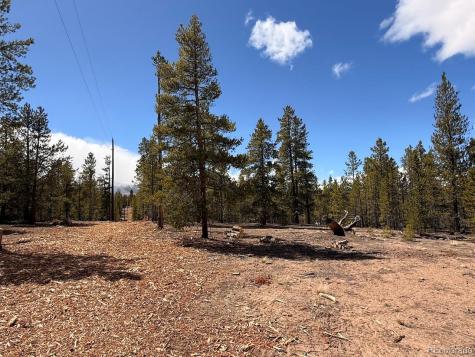 104 Spruce Drive Twin Lakes CO 81251