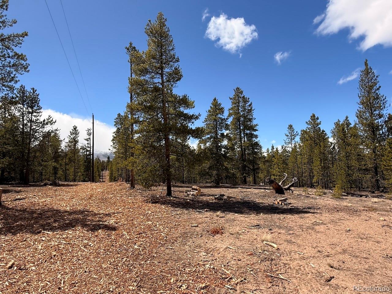104 Spruce Drive Twin Lakes CO 81251