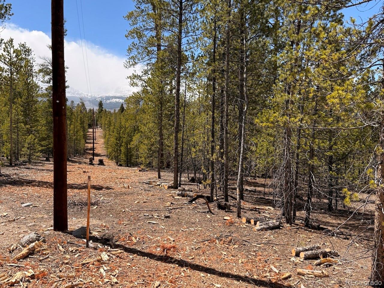 104 Spruce Drive Twin Lakes CO 81251