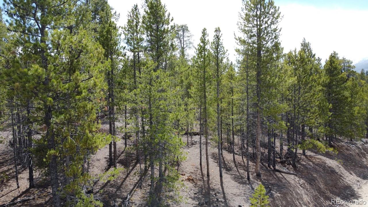 104 Spruce Drive Twin Lakes CO 81251
