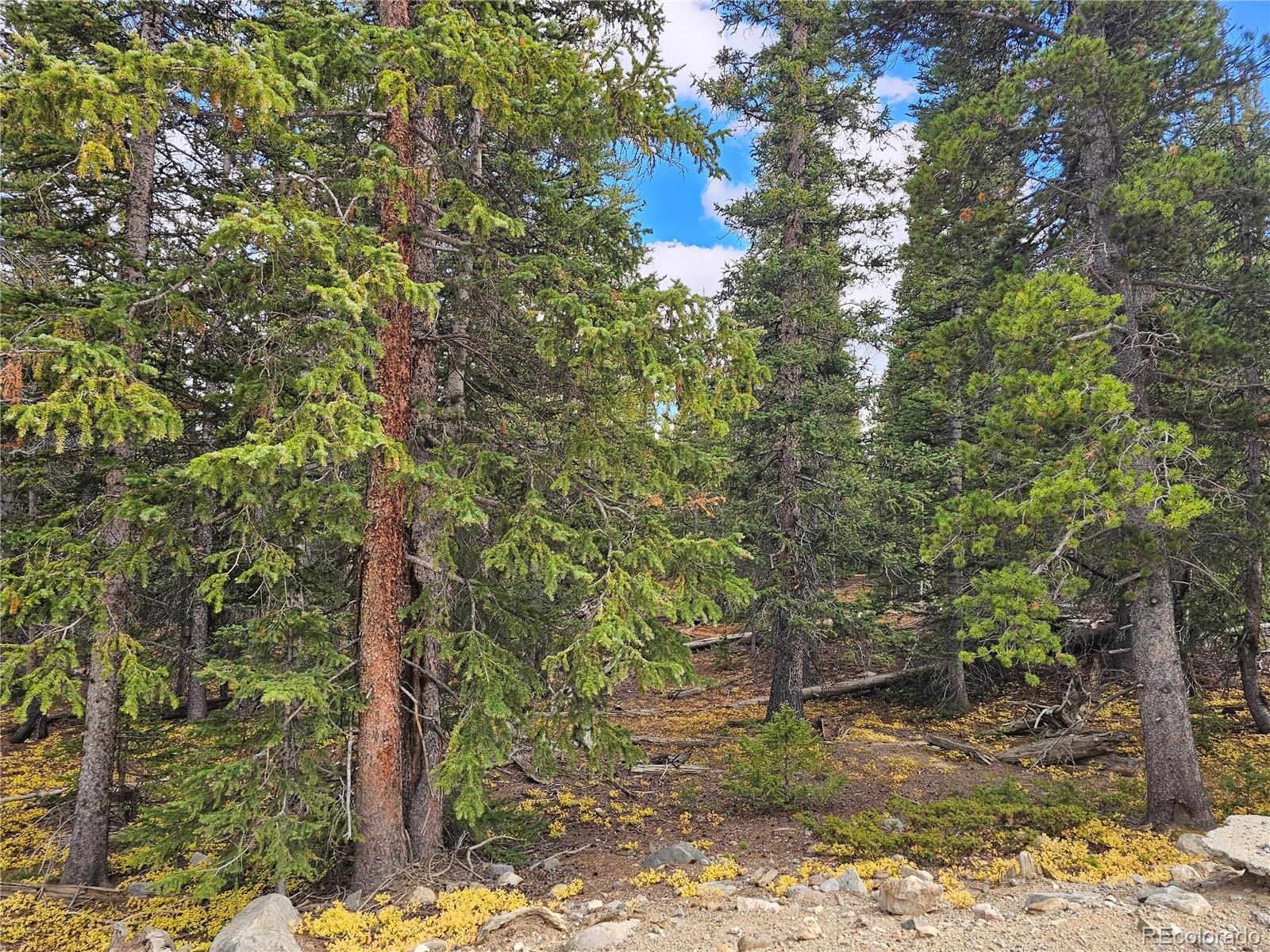 617 Gold Trail Circle Fairplay CO 80440