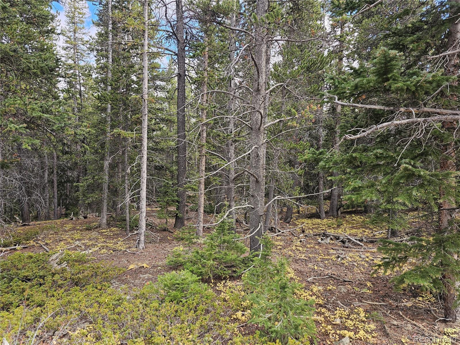 617 Gold Trail Circle Fairplay CO 80440