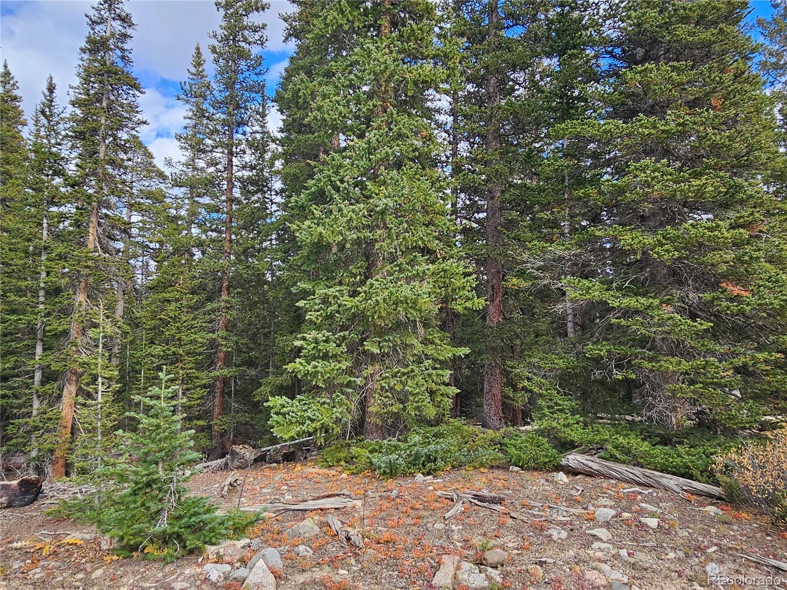 617 Gold Trail Circle Fairplay CO 80440