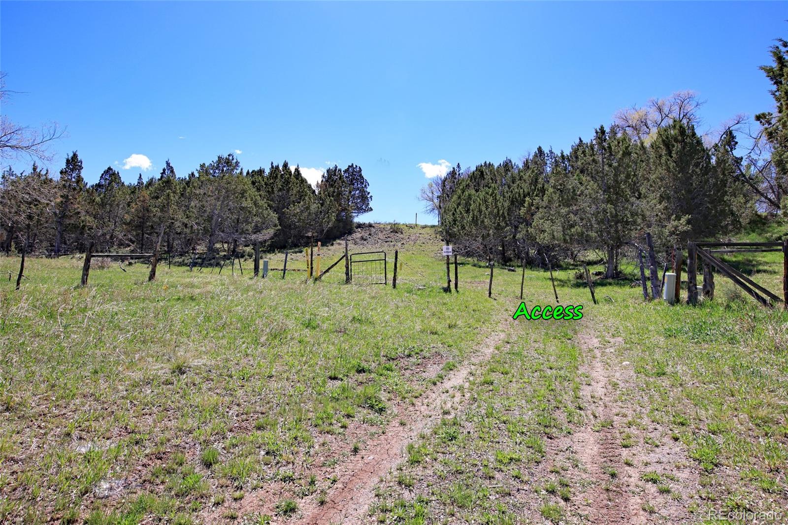 555 Glenarm Avenue Collbran CO 81624