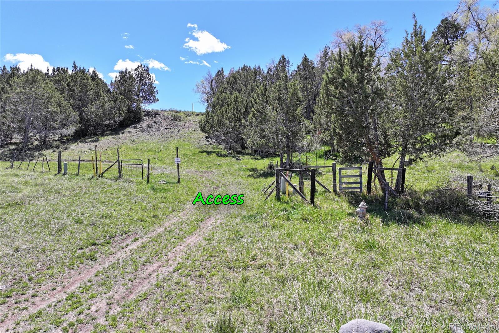 555 Glenarm Avenue Collbran CO 81624