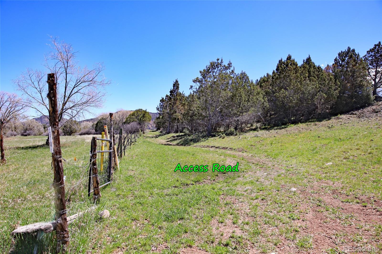 555 Glenarm Avenue Collbran CO 81624