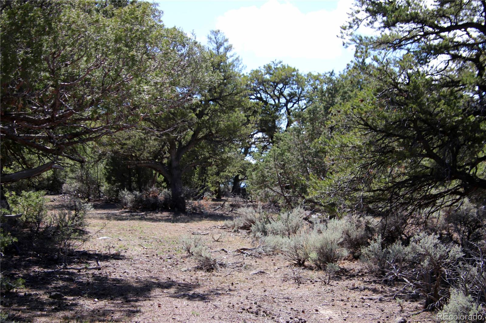 71, 72, 73 Horseshoe Trail San Luis CO 81152