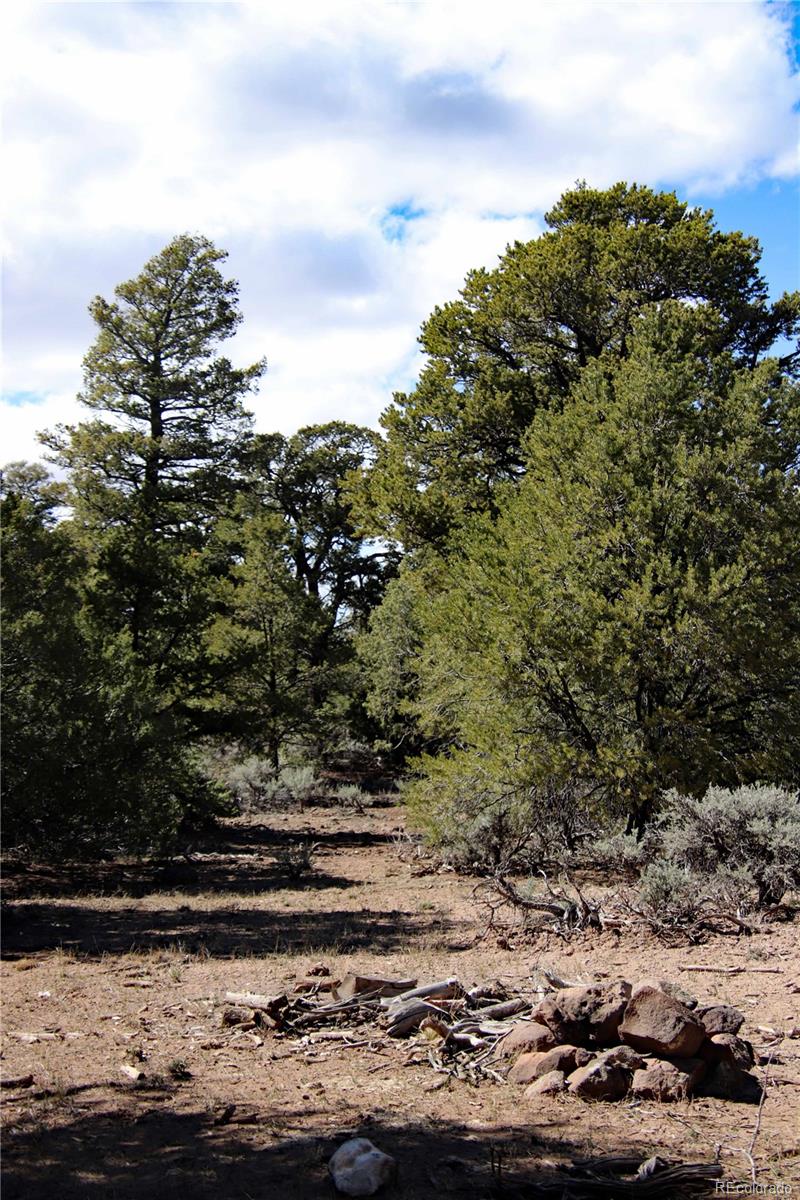 71, 72, 73 Horseshoe Trail San Luis CO 81152