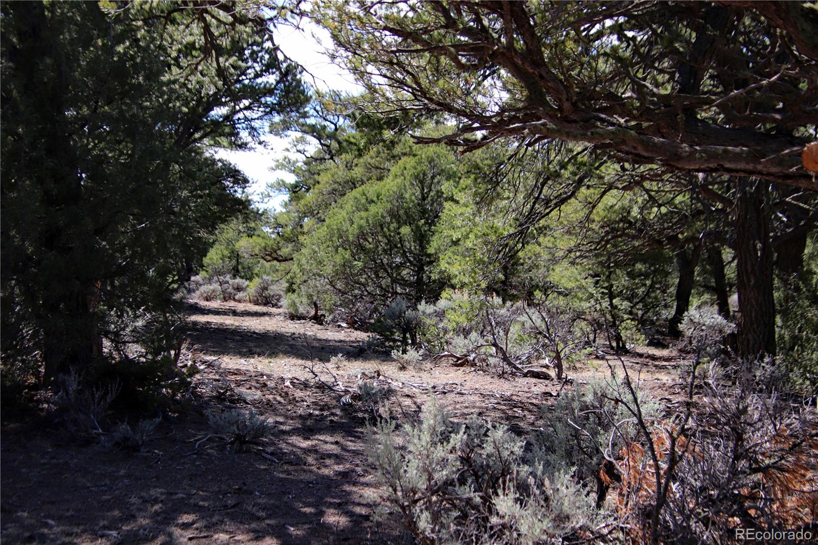 71, 72, 73 Horseshoe Trail San Luis CO 81152
