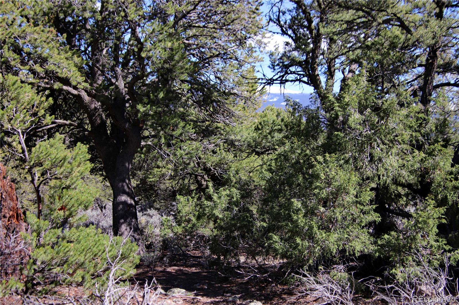 71, 72, 73 Horseshoe Trail San Luis CO 81152