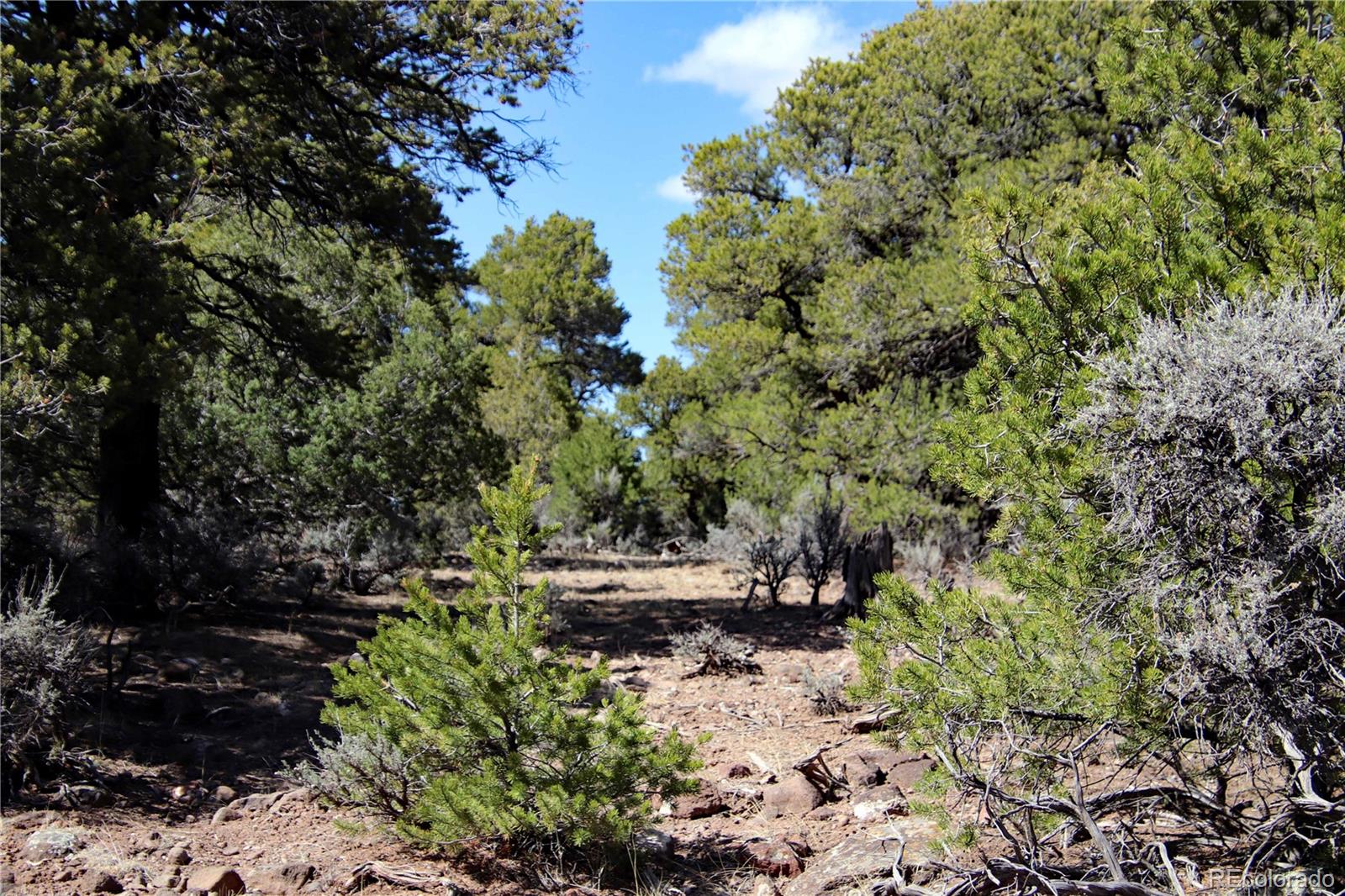 71, 72, 73 Horseshoe Trail San Luis CO 81152