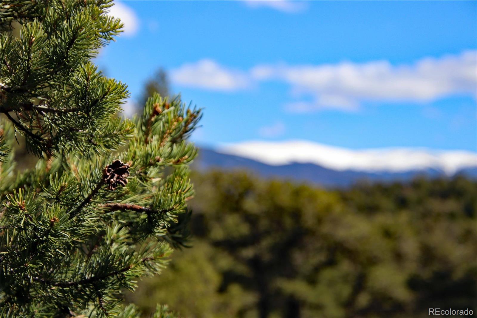 71, 72, 73 Horseshoe Trail San Luis CO 81152