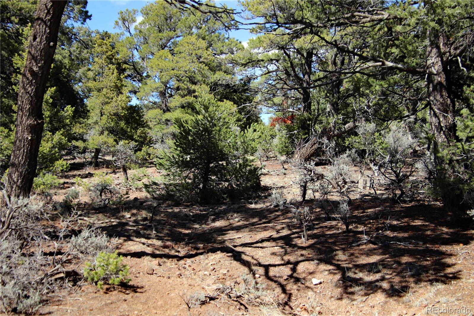 71, 72, 73 Horseshoe Trail San Luis CO 81152