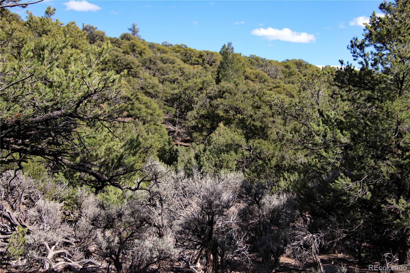 71, 72, 73 Horseshoe Trail San Luis CO 81152