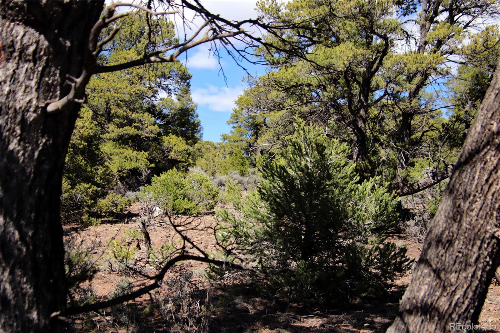 71, 72, 73 Horseshoe Trail San Luis CO 81152