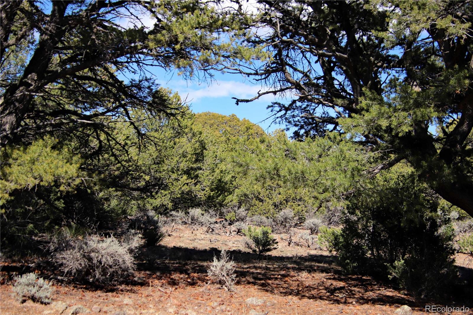 71, 72, 73 Horseshoe Trail San Luis CO 81152