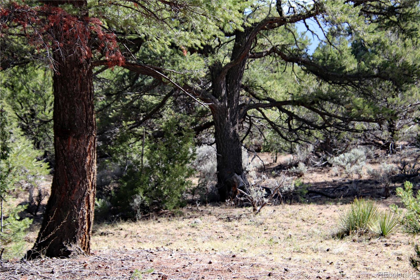 71, 72, 73 Horseshoe Trail San Luis CO 81152