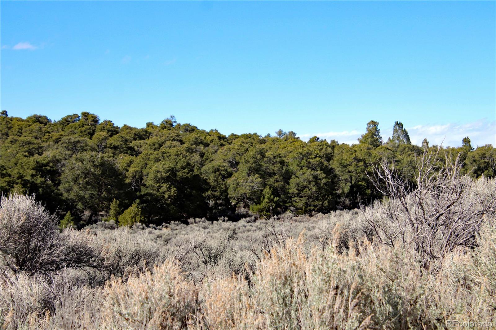 71, 72, 73 Horseshoe Trail San Luis CO 81152