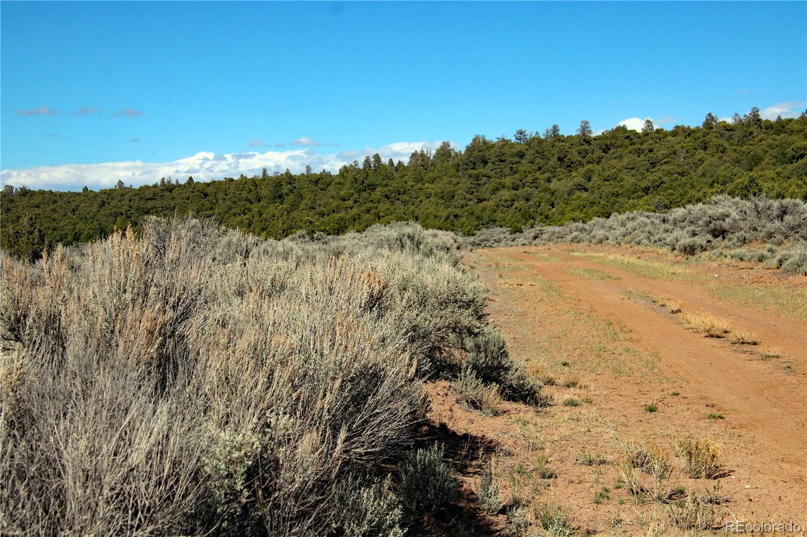 71, 72, 73 Horseshoe Trail San Luis CO 81152