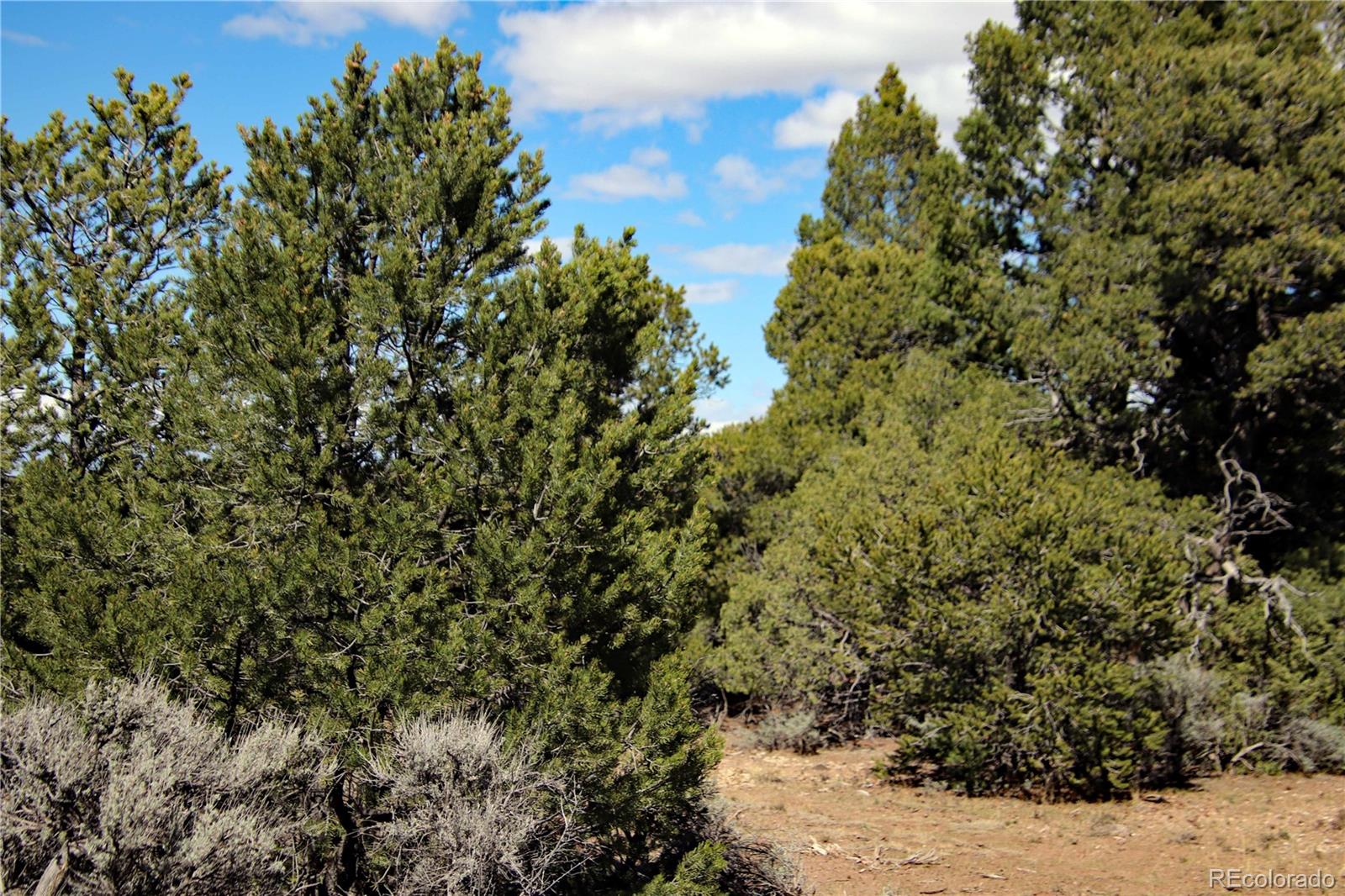 71, 72, 73 Horseshoe Trail San Luis CO 81152