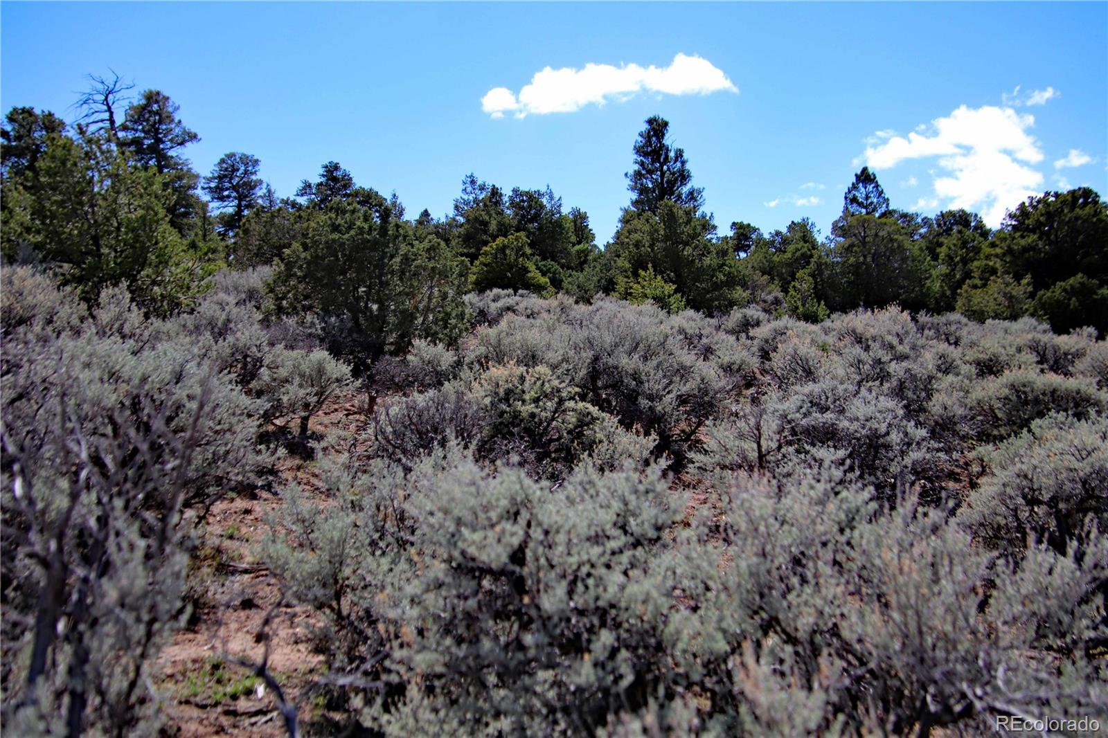 71, 72, 73 Horseshoe Trail San Luis CO 81152