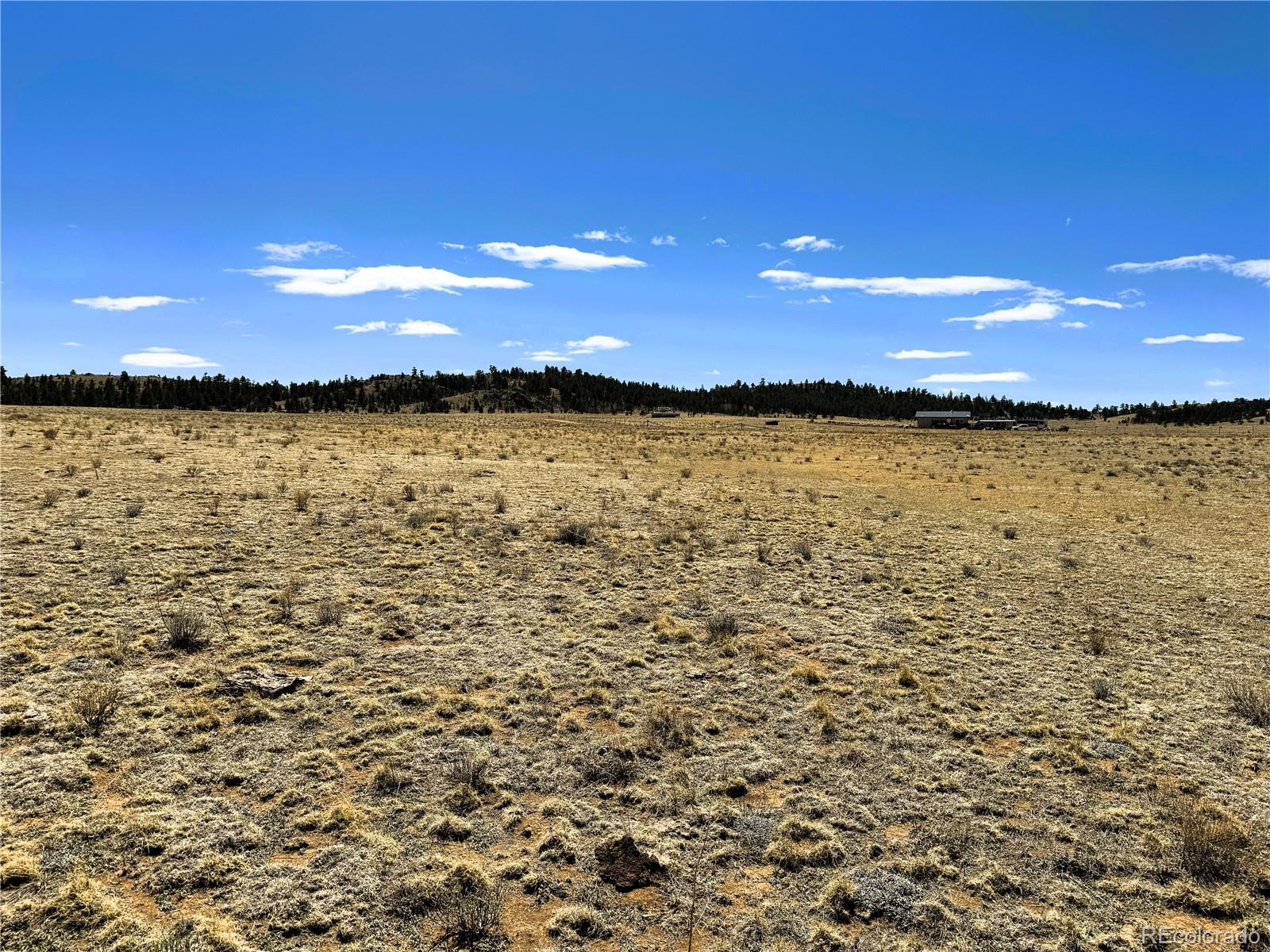 Lot 52 Gila Way Hartsel CO 80449