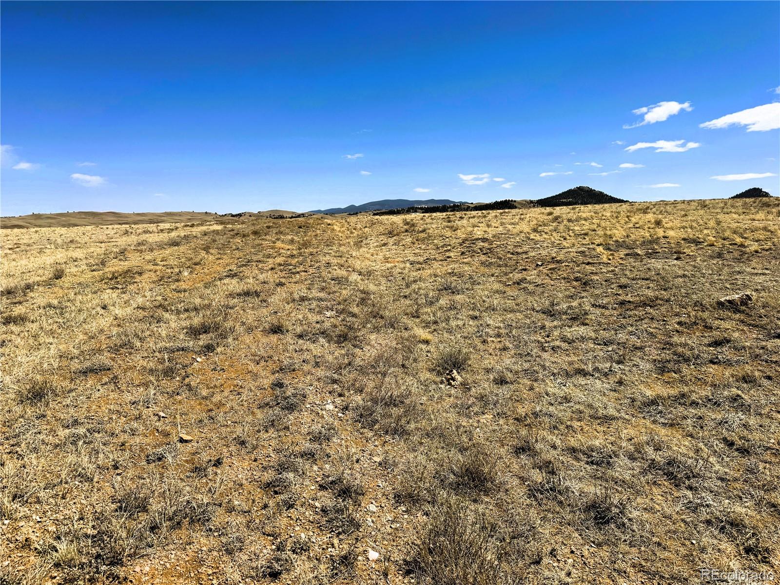 Lot 52 Gila Way Hartsel CO 80449