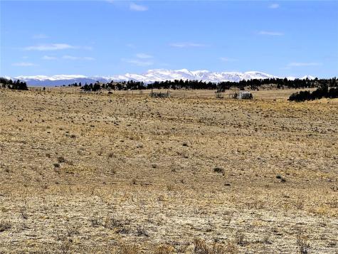 Lot 52 Gila Way Hartsel CO 80449