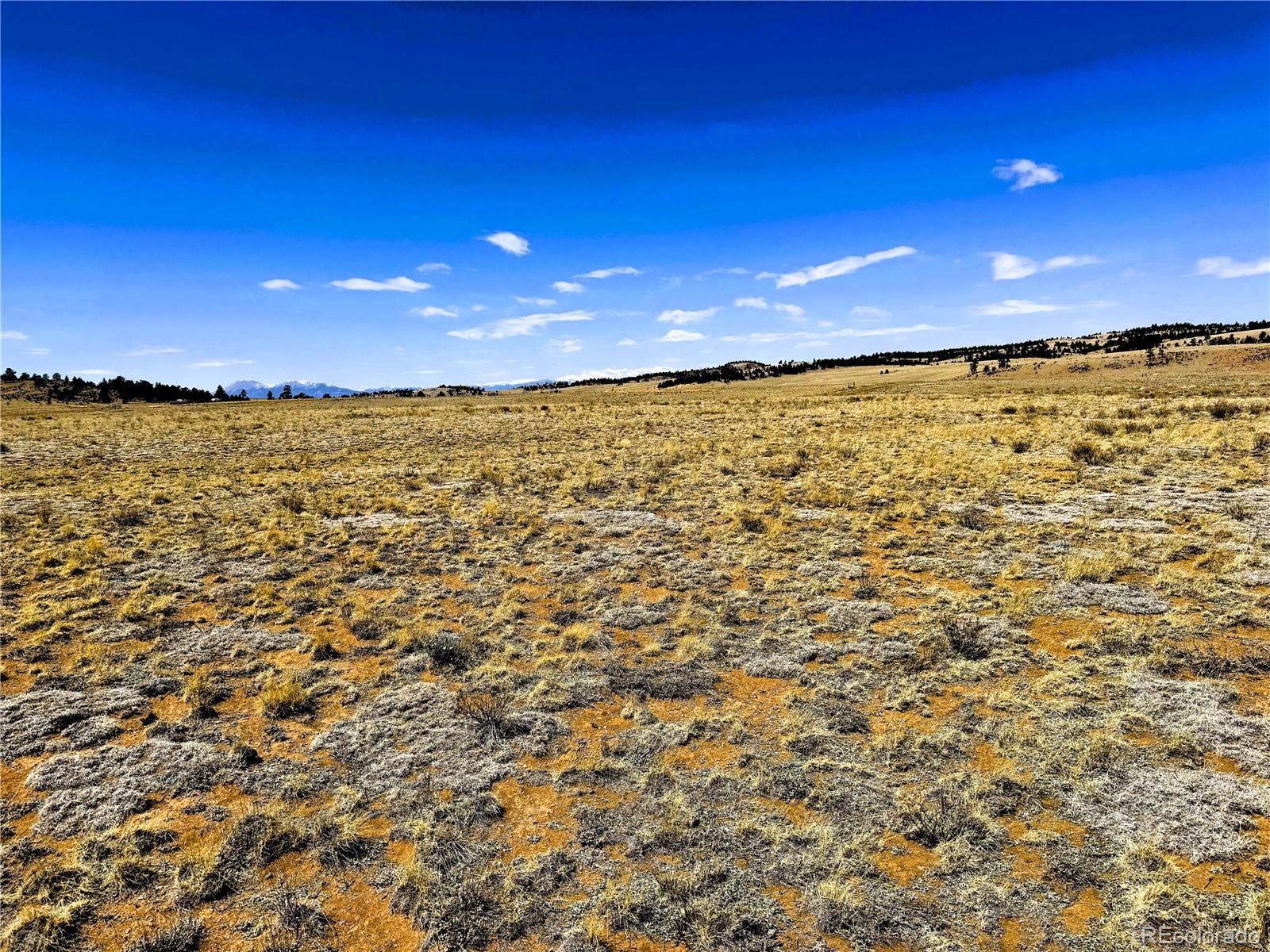 Lot 52 Gila Way Hartsel CO 80449