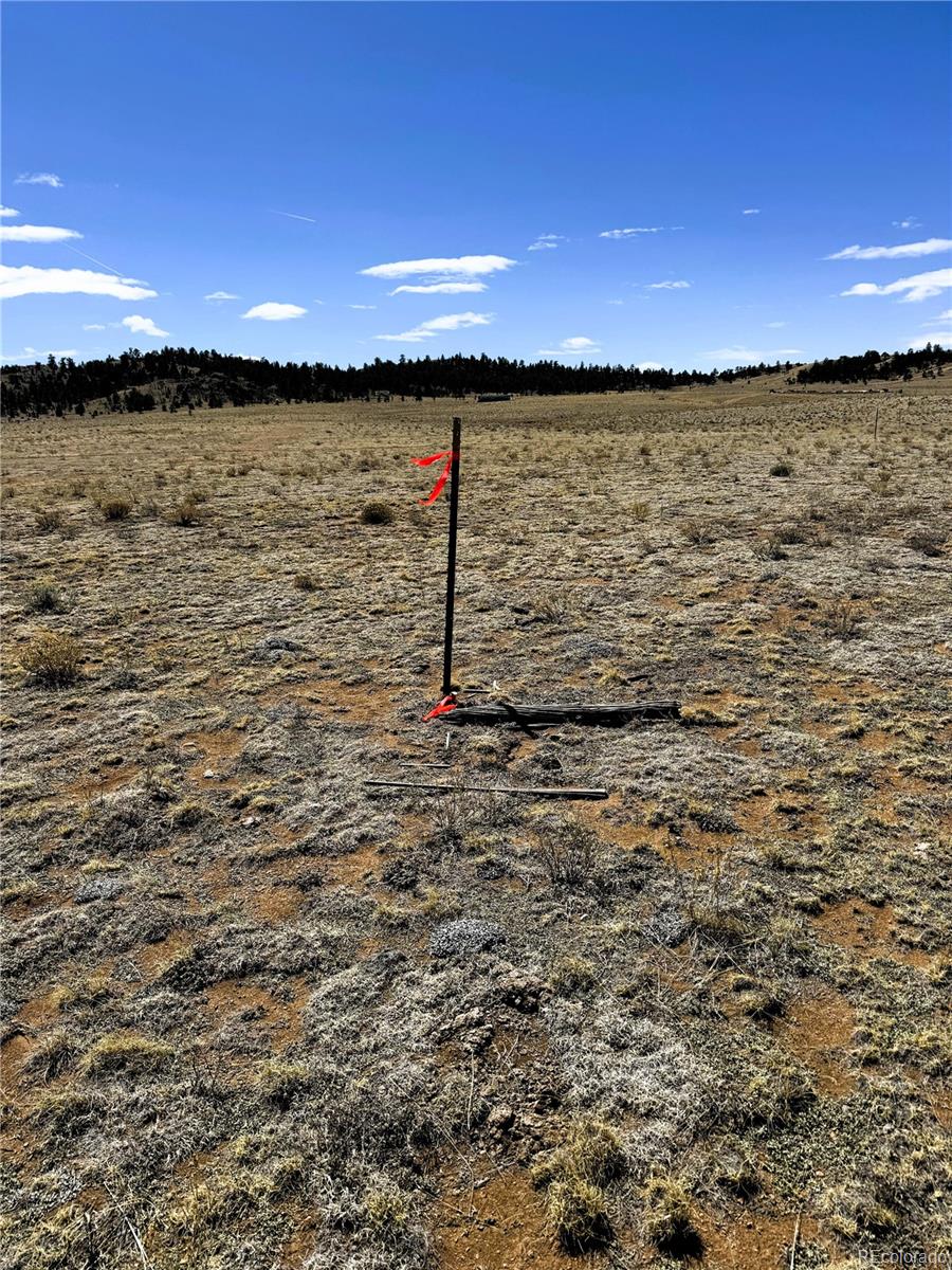 Lot 52 Gila Way Hartsel CO 80449