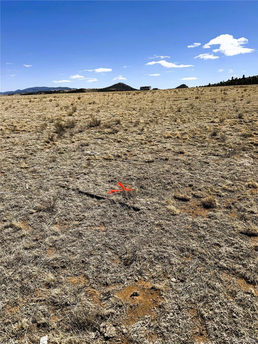 Lot 52 Gila Way Hartsel CO 80449
