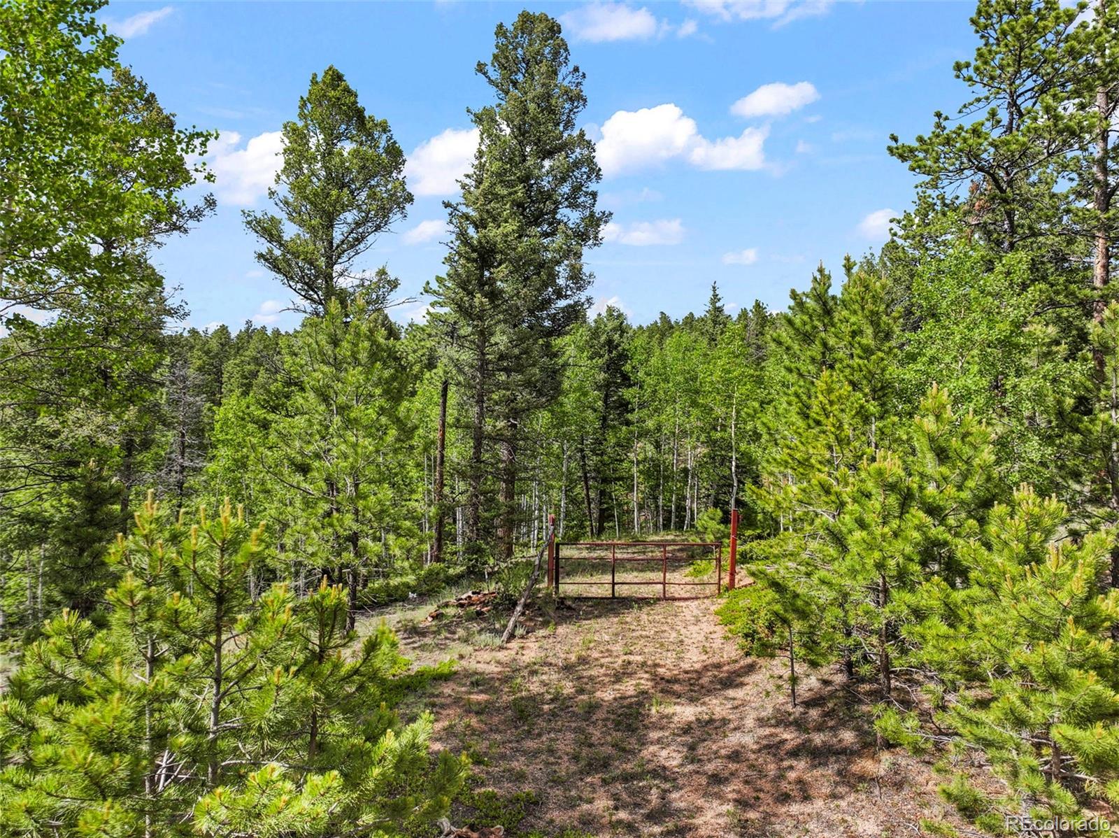 65 Spruce Creek Road Divide CO 80814