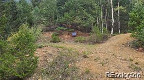 Olympic And Hecla Mines Dumont CO 80436