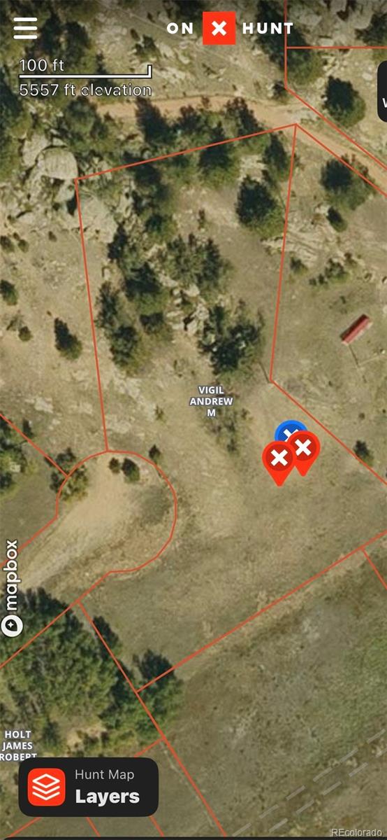 42 Osage Path Lake George CO 80827