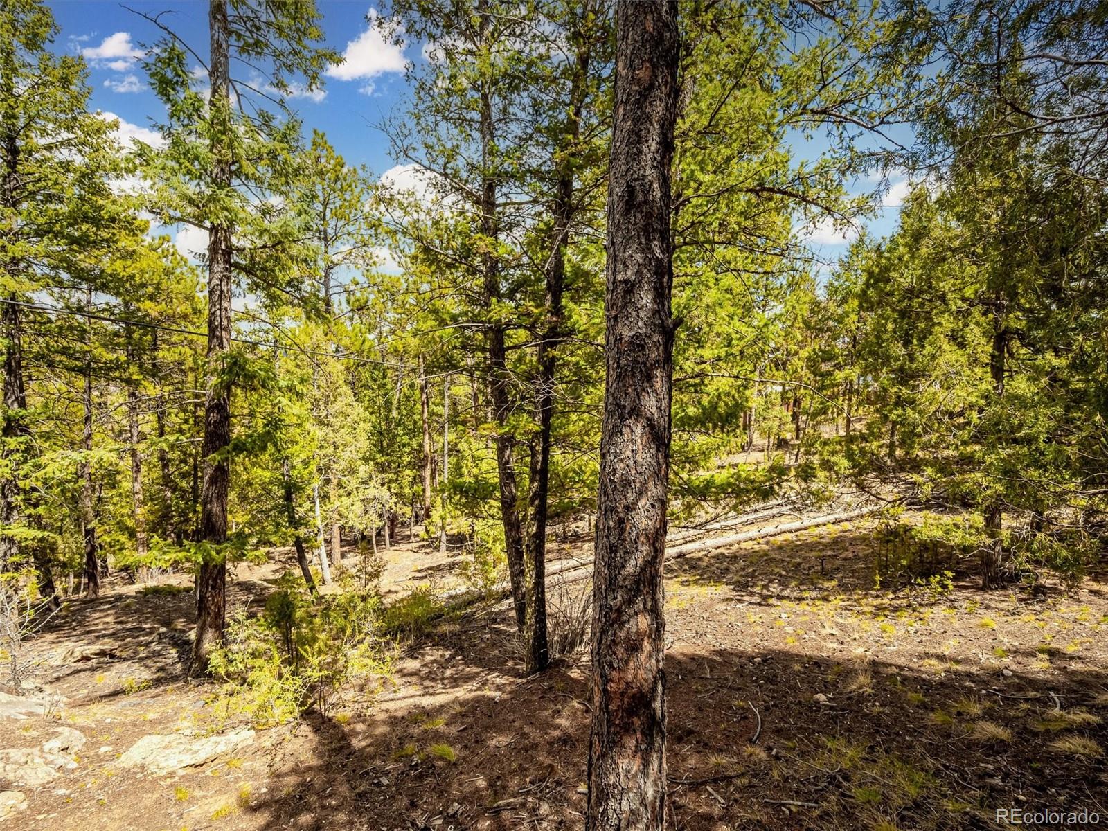 33431 Lake Lane Pine CO 80470