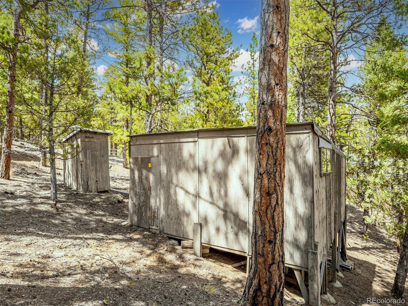 33431 Lake Lane Pine CO 80470