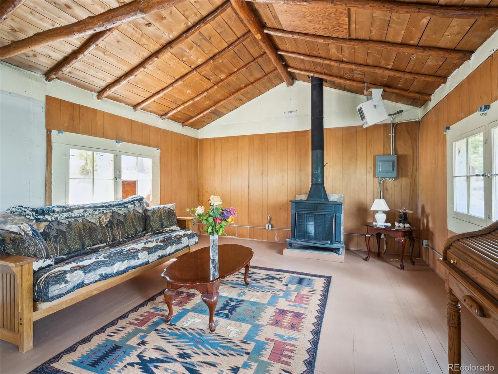 33431 Lake Lane Pine CO 80470