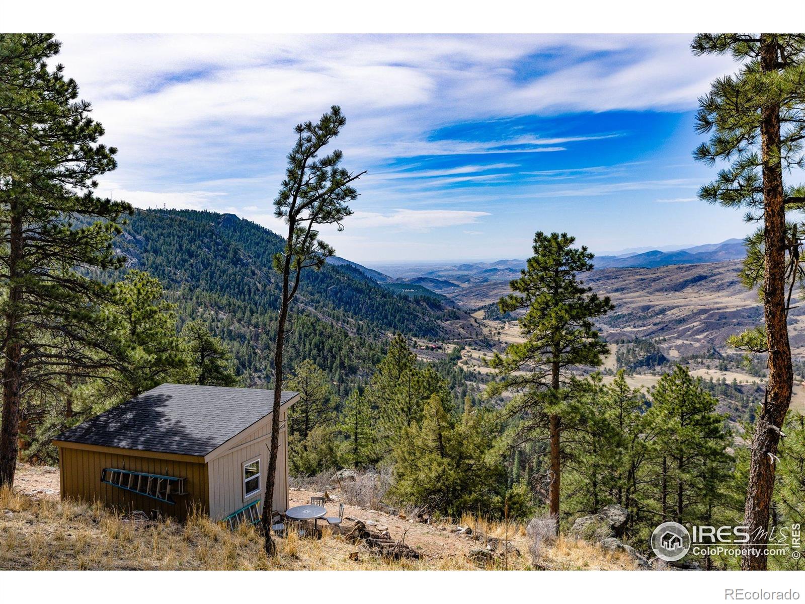9316 Tawny Lynx Road Loveland CO 80538