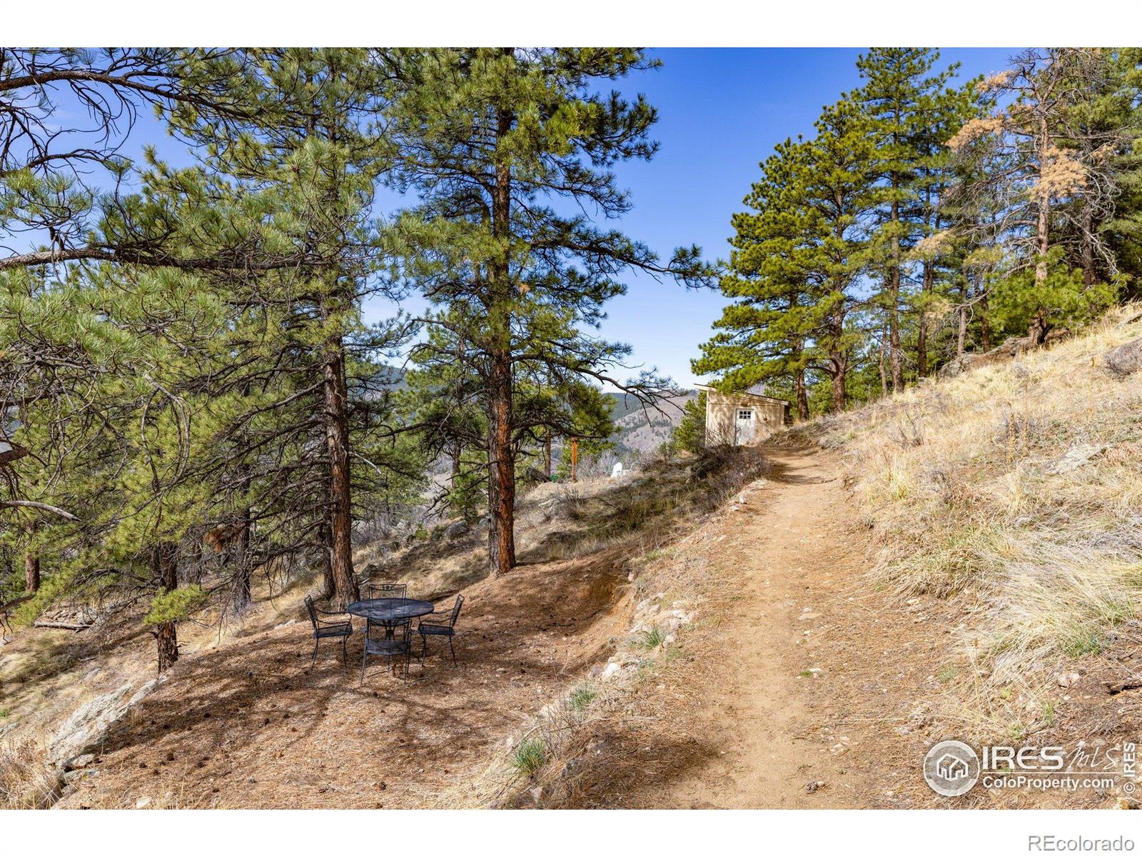 9316 Tawny Lynx Road Loveland CO 80538
