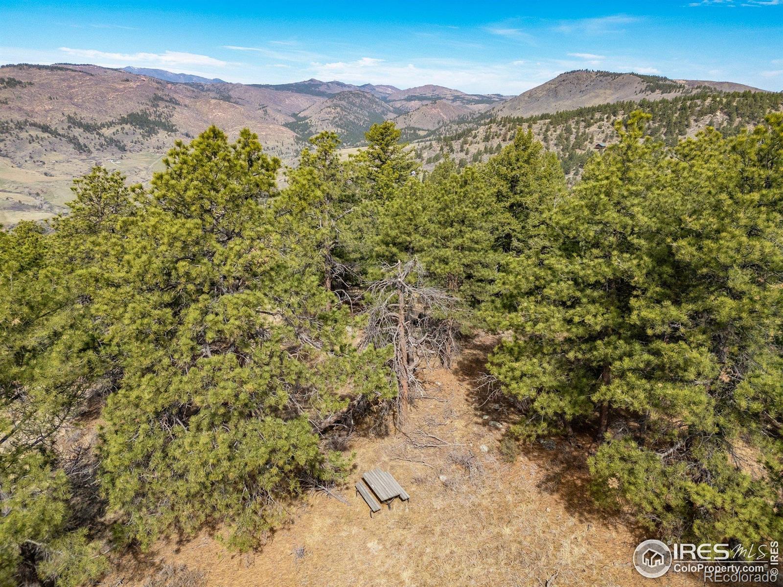 9316 Tawny Lynx Road Loveland CO 80538