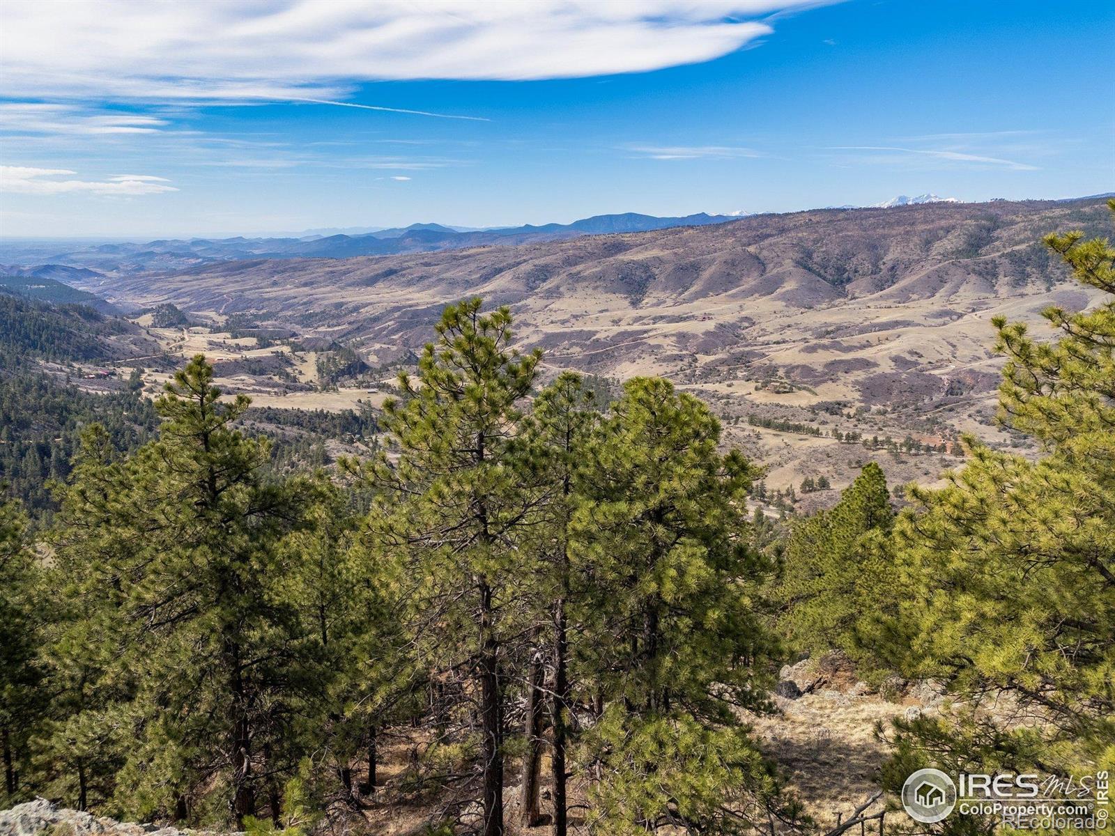 9316 Tawny Lynx Road Loveland CO 80538