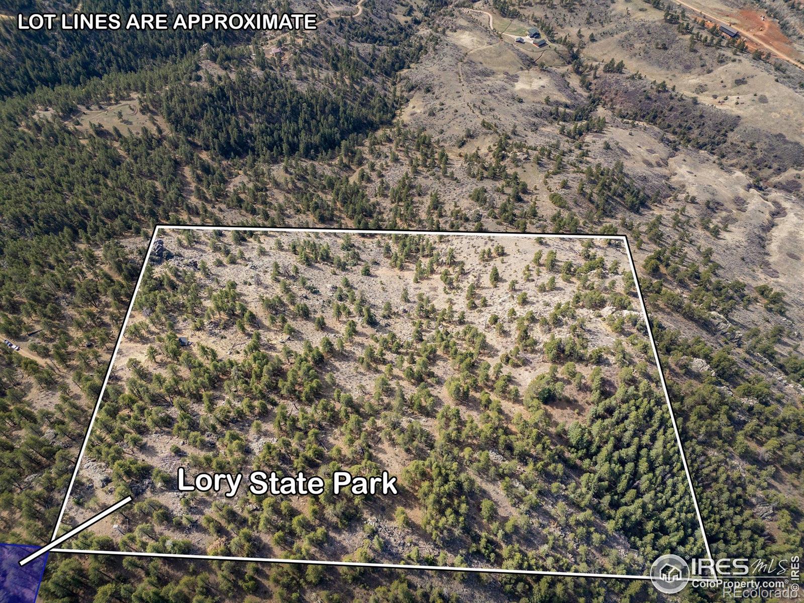 9316 Tawny Lynx Road Loveland CO 80538