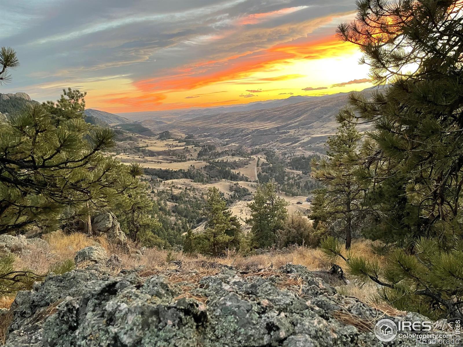 9316 Tawny Lynx Road Loveland CO 80538