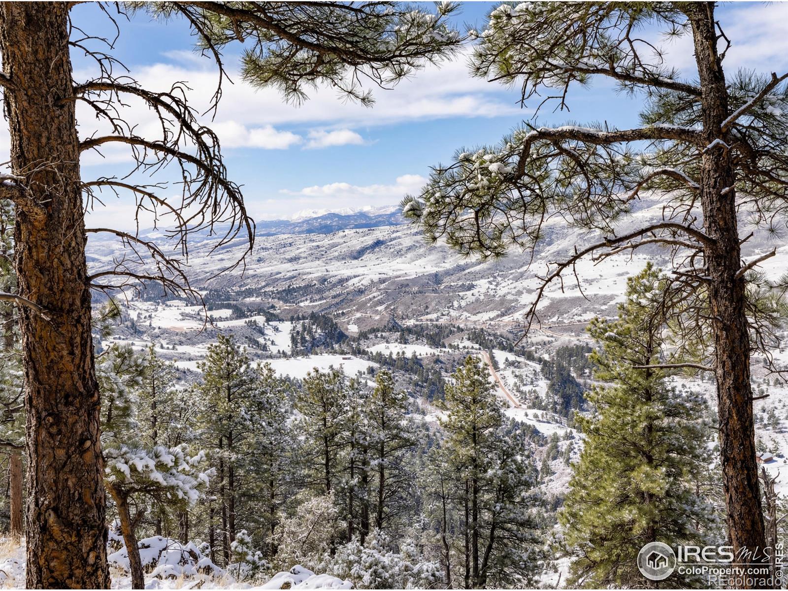 9316 Tawny Lynx Road Loveland CO 80538